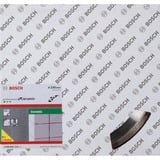 Bosch 2608603234 Accesorios para amoladoras angulares, Hoja 23 cm, 10 pieza(s)