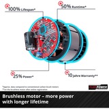 EINHELL RASARRO Cortacésped manual Batería Negro, Rojo rojo/Negro, Cortacésped manual, 450 m², 38 cm, 2,5 cm, 7,5 cm, 45 L