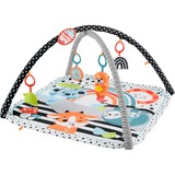 Fisher-Price HBP41 gimnasio para bebé y tapete de juego Plástico Multicolor Gimnasio para bebés, Gimnasio de actividades/Alfombra Gimnasio para bebés, Barra de juguetes, Sonoro, Plástico, Multicolor