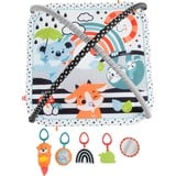 Fisher-Price HBP41 gimnasio para bebé y tapete de juego Plástico Multicolor Gimnasio para bebés, Gimnasio de actividades/Alfombra Gimnasio para bebés, Barra de juguetes, Sonoro, Plástico, Multicolor