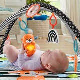 Fisher-Price HBP41 gimnasio para bebé y tapete de juego Plástico Multicolor Gimnasio para bebés, Gimnasio de actividades/Alfombra Gimnasio para bebés, Barra de juguetes, Sonoro, Plástico, Multicolor