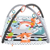 Fisher-Price HBP41 gimnasio para bebé y tapete de juego Tela, Plástico Multicolor Gimnasio para bebés, Gimnasio de actividades/Alfombra Gimnasio para bebés, Barra de juguetes, Sonoro, Tela, Plástico, Multicolor