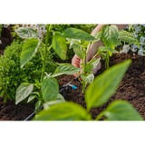 GARDENA Micro-Drip-System Goteo en línea 2 l/h, Goteros negro/Turquesa