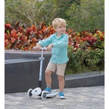 GLOBBER 696-501, Vespa celeste