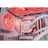 ALTERNATE ALT-ICUECS-AMD-002, Gaming-PC blanco/Transparente