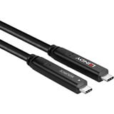 Lindy Cable híbrido USB 3.2 Gen 1 y DP 1.4 Tipo C, Cable alargador negro