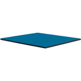 Thermal Grizzly Minus Pad Advance - 100x100x1,5 mm, Almohadillas térmicas 