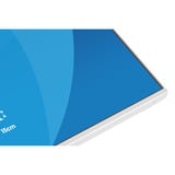 iiyama ProLite XB2497HSU-W1, Monitor LED blanco (mate)