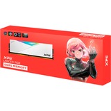 ADATA LANCER RGB módulo de memoria 32 GB 1 x 32 GB DDR5 288-pin DIMM, Memoria RAM blanco, 32 GB, 1 x 32 GB, DDR5, 6400 MHz, 288-pin DIMM