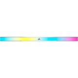 Corsair DIMM 32 GB DDR5-5600 (2x 16 GB) Dual-Kit, Memoria RAM gris