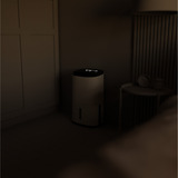 Meaco Dry Arete Two 10L Deshumidificador de compresor y purificador de aire blanco/Negro