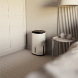 Meaco Dry Arete Two 10L Deshumidificador de compresor y purificador de aire blanco/Negro