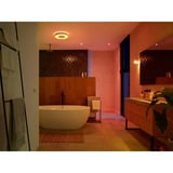 Philips Hue White & Color Ambiance Xamento Lámpara de Techo L, Luz de LED blanco