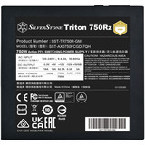 SilverStone SST-TR750R-GM, Fuente de alimentación de PC negro