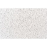 fischer Masilla de reparación WallHero blanco