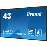 iiyama ProLite LH4365UHSB-B1, Pantalla de gran formato negro