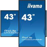 iiyama ProLite LH4365UHSB-B1, Pantalla de gran formato negro