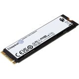 Kingston FURY 2000G FURY RENEGADE M.2 2280 NVMe SSD, Unidad de estado sólido negro, 2 TB, M.2, 7300 MB/s