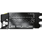 PNY GeForce RTX 5080 ARGB OC, Tarjeta gráfica 