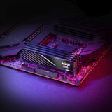 ADATA DIMM 32 GB DDR5-6000 (2x 16 GB) Kit dual, Memoria RAM negro