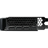 Gainward NE7506TT19P1-GB2062B, Tarjeta gráfica 