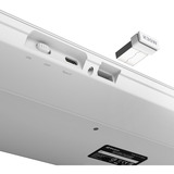 Sharkoon 4044951042340, Teclado blanco