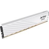 ADATA AX5U6000C2832G-SLABWH, Memoria RAM blanco