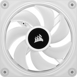 Corsair iCUE LINK QX120 RGB ventilador PWM de 120 mm blanco