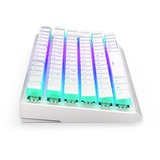 ENDORFY EY5D020, Teclado para gaming blanco