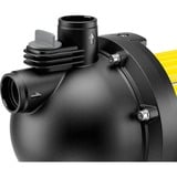 Kärcher Estación de agua doméstica BP 4.900 Home, Bomba negro