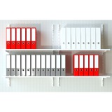 fischer SX Plus 10x50, 567900, Pasador gris claro