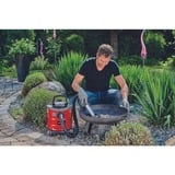 EINHELL TC-AV 1720 DW 1250 AW 20 L Negro, Rojo, Aspiradora de ceniza rojo/Negro, 20 L, Sin bolsa, Negro, Rojo, 1,2 m, 3,6 cm, Secar