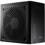 FSP ADVAN-1000GM, Fuente de alimentación de PC 