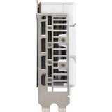 ASUS Dual -RTX5060-O8G-WHITE NVIDIA GeForce RTX 5060 8 GB GDDR7, Tarjeta gráfica blanco, GeForce RTX 5060, 8 GB, GDDR7, 128 bit, 7680 x 4320 Pixeles, PCI Express 5.0