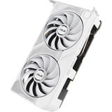 ASUS Dual -RTX5060-O8G-WHITE NVIDIA GeForce RTX 5060 8 GB GDDR7, Tarjeta gráfica blanco, GeForce RTX 5060, 8 GB, GDDR7, 128 bit, 7680 x 4320 Pixeles, PCI Express 5.0