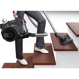 Bosch BGC05AAA1 aspiradora 1,5 L Aspiradora cilíndrica Secar 700 W Sin bolsa, Aspiradora de suelo violeta/Gris, 700 W, Aspiradora cilíndrica, Secar, Sin bolsa, 1,5 L, HEPA