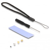 DeLOCK Carcasa externa M.2 NVMe PCle SSD, SATA SSD, Caja de unidades gris