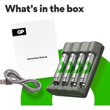 GP Batteries GPRCKCHB441U396, Cargador gris