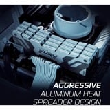 Kingston FURY FURY 32 GB 6400 MT/s DDR5 CL32 DIMM (Kits de 2) Renegade White XMP, Memoria RAM blanco, 32 GB, 2 x 16 GB, DDR5, 288-pin DIMM