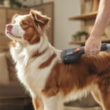 Thomas Set de cuidado del pelaje, 6 piezas, Accesorio de aspiradora negro/Gris