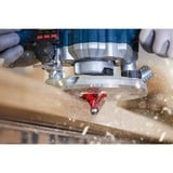 Bosch Fresa de redondeo Expert para madera, radio 2mm 