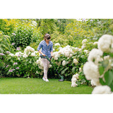 Bosch Recortadora de césped a batería EasyGrassCut 18-26, 18 voltios, carrete de hilo extra, Cortabordes verde/Negro