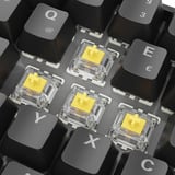 Sharkoon 4044951041923, Teclado para gaming negro