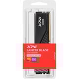 ADATA LANCER BLADE módulo de memoria 16 GB 1 x 16 GB DDR5 288-pin DIMM ECC, Memoria RAM negro, 16 GB, 1 x 16 GB, DDR5, 5600 MHz, 288-pin DIMM