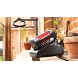 Bosch Set de inicio 36V (GBA 36V 4.0Ah + AL 36V-20), Conjunto negro