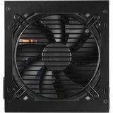 FSP VIC BD 550W, Fuente de alimentación de PC negro