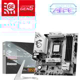 MSI 7E81-001R, Placa base 
