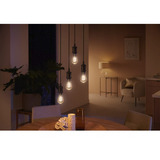 Philips Hue Hue White Ambiance Lámpara de filamento E27 Edison ST64 550, Lámpara LED 