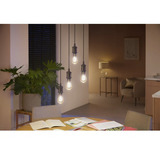 Philips Hue Hue White Ambiance Lámpara de filamento E27 Edison ST64 550, Lámpara LED 