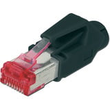 Digitus Conector modular Hirose, CAT 6 TM 21, Enchufe 